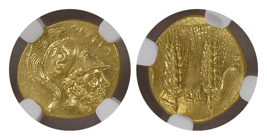【Ch MS 5/5 4/5 Fine Style】紀元前290年?280年 古代ギリシャ ルカニア メタポントゥム  1/3スターテル金貨(表)