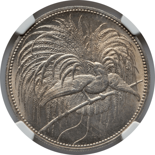 【MS65】1894年 ドイツ領ニューギニア 極楽鳥 5マルク銀貨(表)